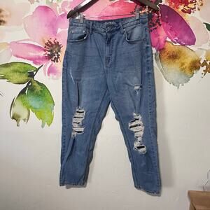 Wild Fable High Rise Mom Jean Distressed Blue Denim Light Wash Women's Size 12
